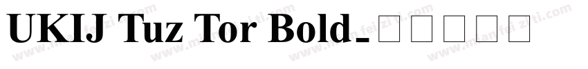 UKIJ Tuz Tor Bold字体转换